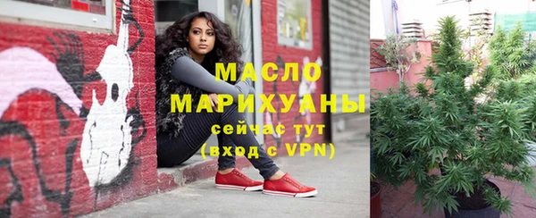 дмт Горнозаводск