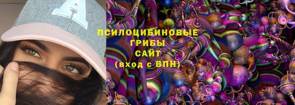дмт Горнозаводск