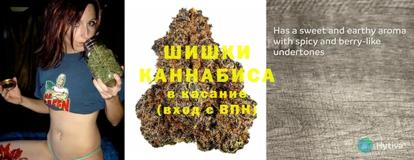 дмт Горнозаводск
