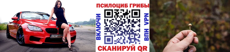 Галлюциногенные грибы ЛСД  Купить где  Конаково 